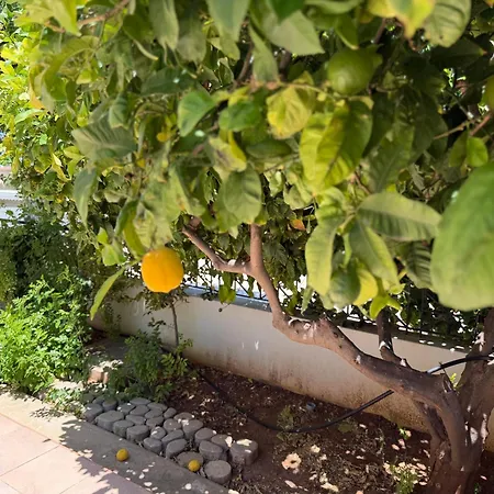 Lemon Tree - Walk To Kapparis Protaras